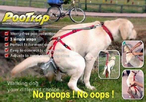 Le rire des méganautes 2