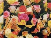 Basketball Nightmare