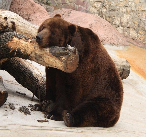  Le rire des méganautes 3