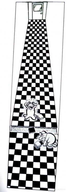  Le rire des méganautes 3