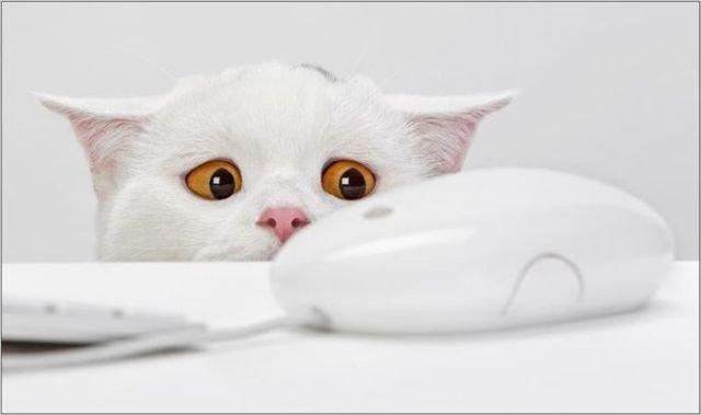  Le rire des méganautes 3