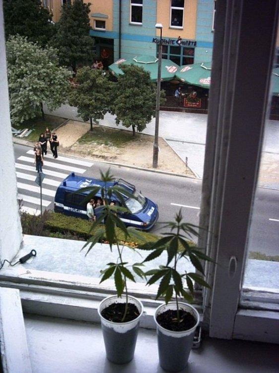  Le rire des méganautes 3