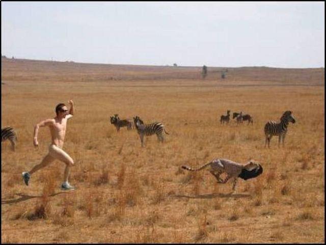  Le rire des méganautes 3