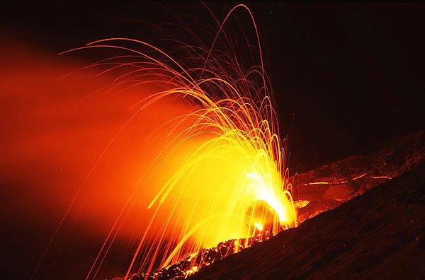 La nature dans tous ses états