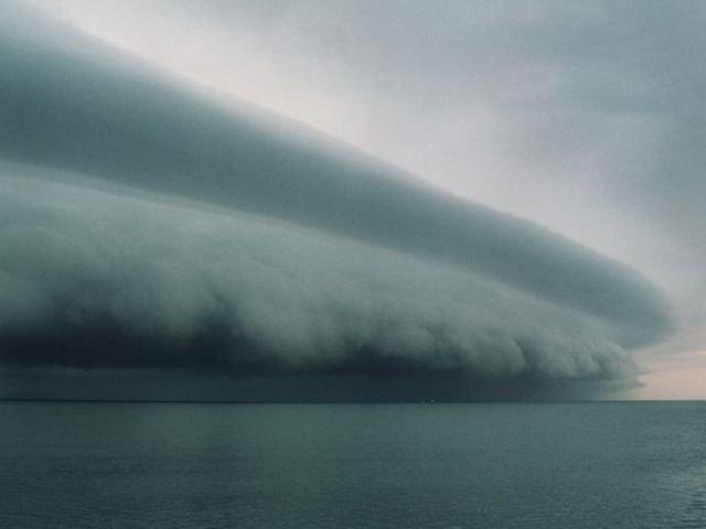 La nature dans tous ses états