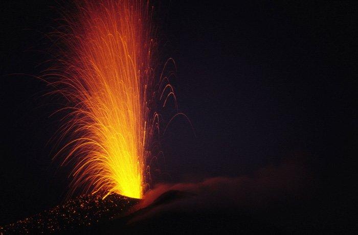 La nature dans tous ses états