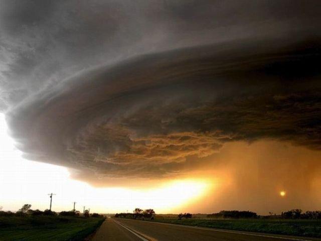 La nature dans tous ses états