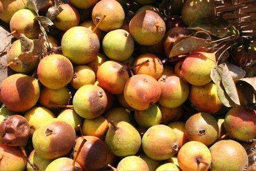 la recette secrète du 23 juillet