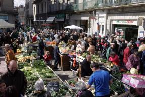 Agrandir la photo Carcassonne. Fruits et légumes, la qualité à tout prix !