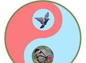 Psycho énergétique Sophrologie Marie-Odile Brus