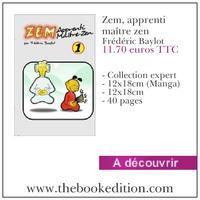 Le livre Zem, apprenti maître zen