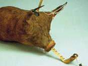 Faouzi Gamra regrette passé