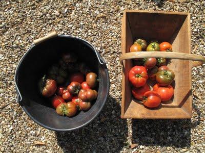 Courgettes et tomates farcies