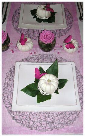 2009_09_06_table_rose_courge29
