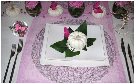 2009_09_06_table_rose_courge26