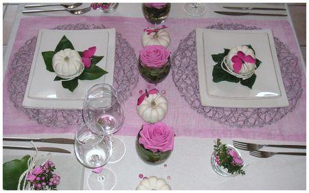 2009_09_06_table_rose_courge20