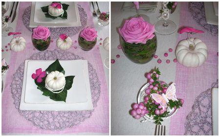 2009_09_06_table_rose_courge6