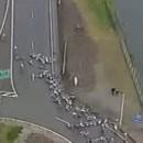 peloton vélos tombe