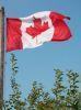 Consultation sur le droit d'auteur au Canada : Participez !