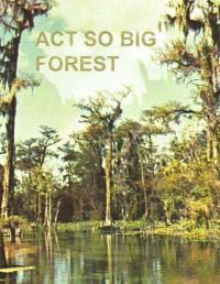Act So Big Forest