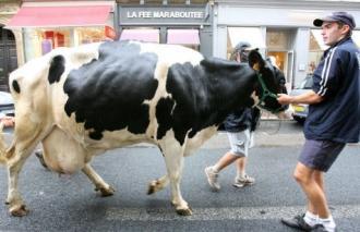 Lors d'une manifestation précédente des exploitants agricoles de la région Rhône-Alpes, des producteurs de lait, vin, fruits et légumes dans le centre de Lyon (Sipa)