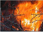 Brûler déchets plein air: c'est interdit!