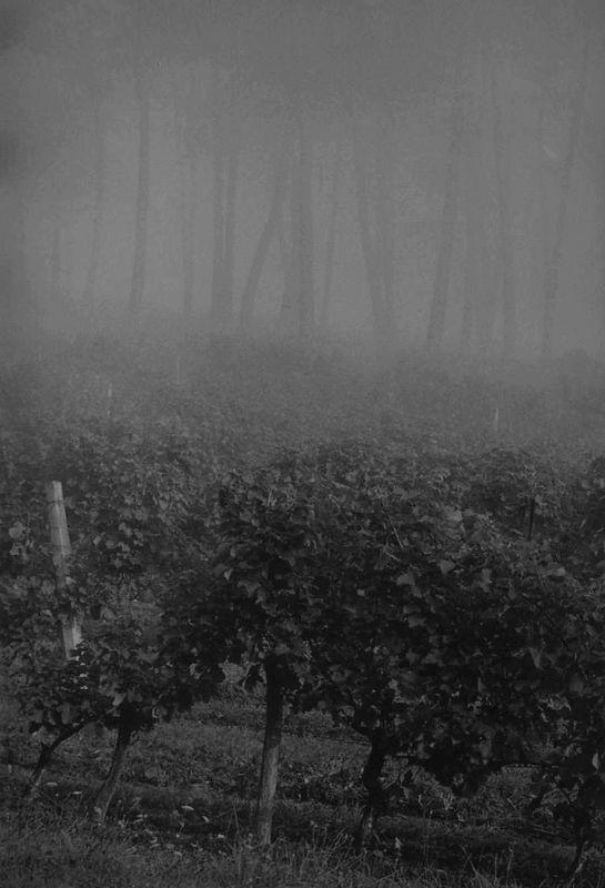 Une semaine sous le signe de la Chine