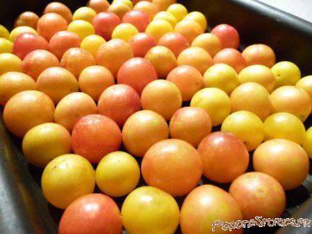 P1040065-PopoteStories