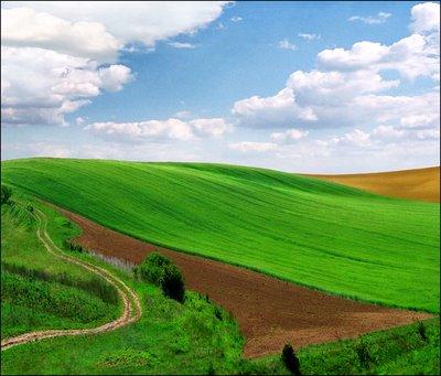Des collines d'un vert bien saturé