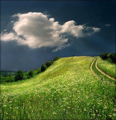 Des collines d'un vert bien saturé