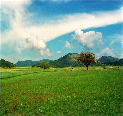 Des collines d'un vert bien saturé