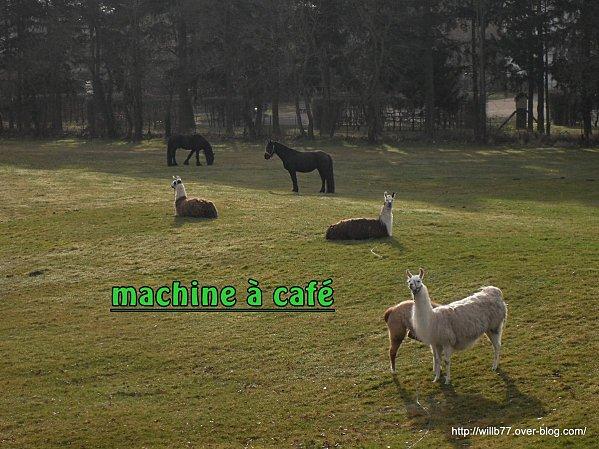 Ménagerie de bureau