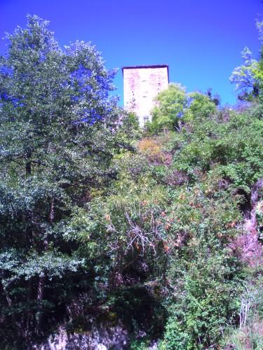 ay 30 août 2009 008.jpg