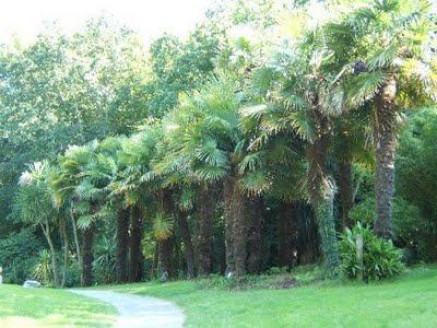 Le parc du  Stang-Alar de Brest et son conservatoire botanique
