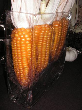 table__pis_de_mais_001