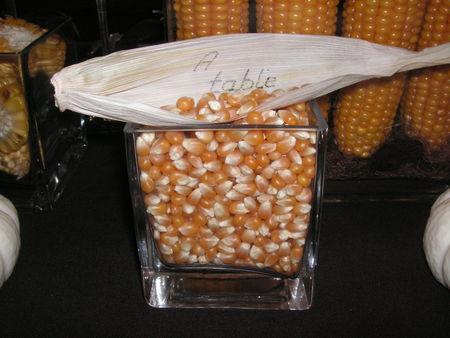 table__pis_de_mais_009