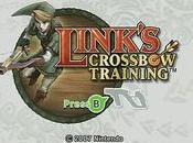 images Link's Crossbow Training