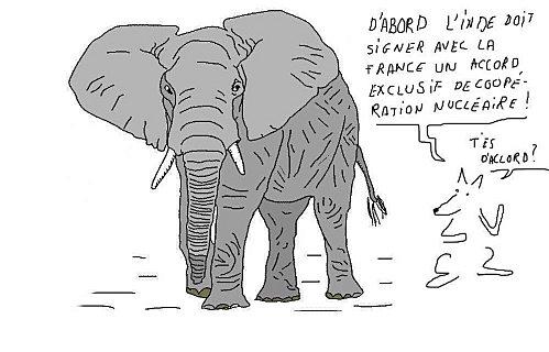 Le chien et l'éléphant