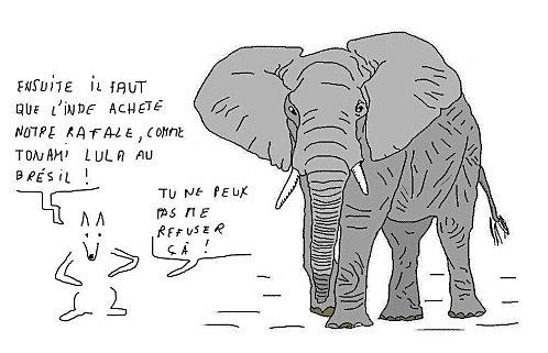 Le chien et l'éléphant