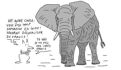 Le chien et l'éléphant