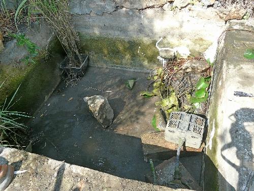 Bassin de Jardin : entretien et nettoyage d\'automne !... | À Voir Bassin de Jardin : entretien et nettoyage d\'automne !... | À Voir