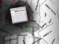 Election-ps-aubry-royal