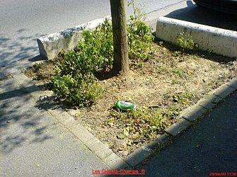 Fleurs ou excréments canins ?