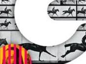 Culture fonds Européana, privé