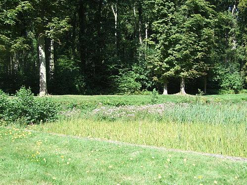 Balade aux étangs de Malva, forêt de Retz...