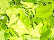 tétragone, c'est quoi