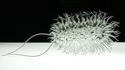 Luke Jerram - Glass Microbiology Sculptures