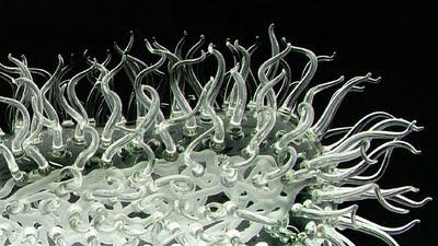 Luke Jerram - Glass Microbiology Sculptures