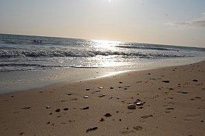 La scène de l’inspection (daté du 13.07)