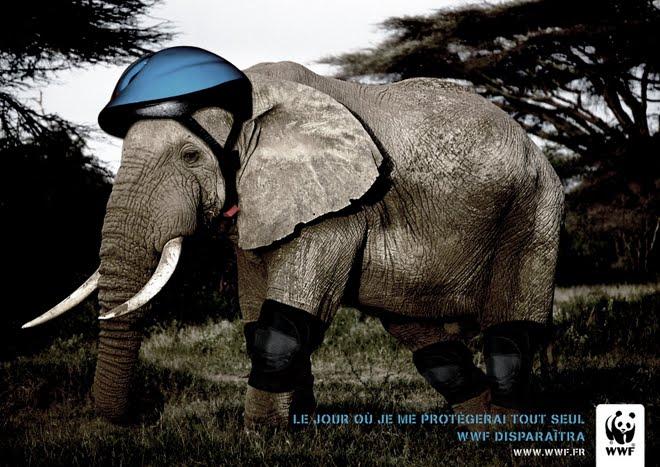 éléphanthd Petit BEST OF des campagnes WWF